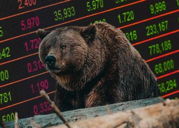 bear market