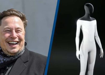 elon musk stavia robota