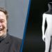 elon musk stavia robota